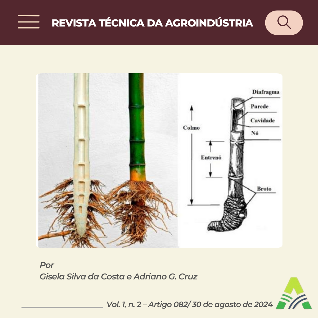 FARINHA DE COLMO DE BAMBU E SEU POTENCIAL PREBIÓTICO EM ALIMENTOS